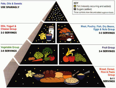 original food pyramid